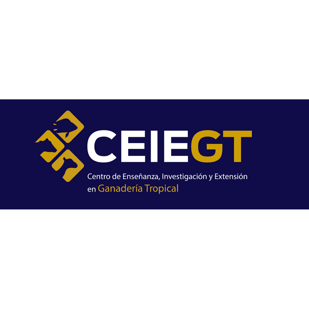 CEIEGT