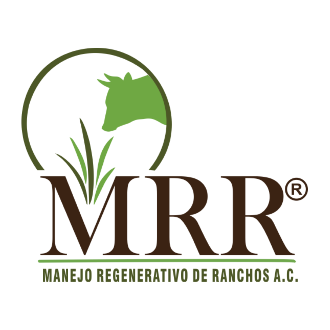 MRR