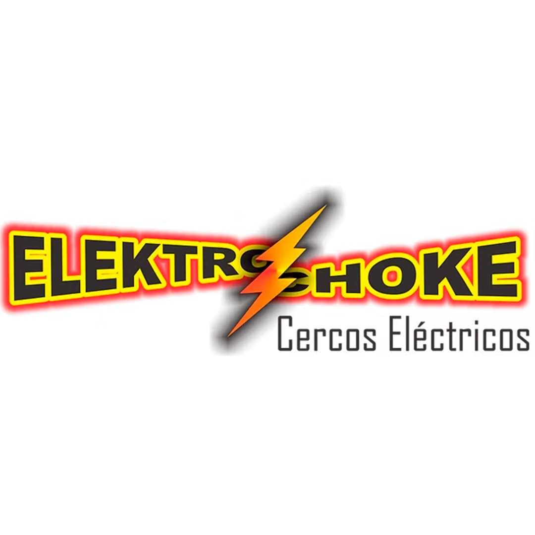 Elektrochoke