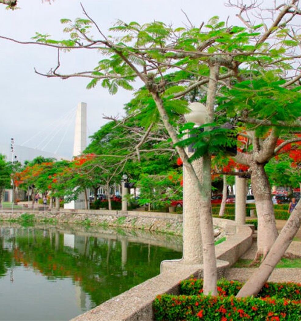 Laguna de las Ilusiones y Parque Tomás Garrido